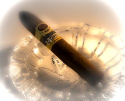 Padron Cohiba