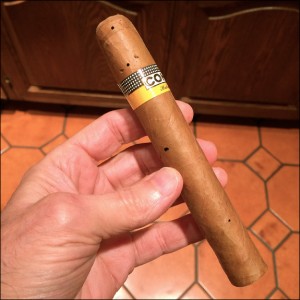 Tobacco beetle ruined my cigar