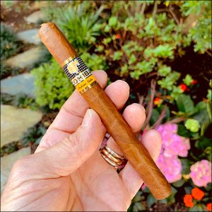 Cohiba-Corona-Especiales