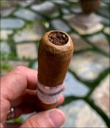 Large-punch-cut-cigar